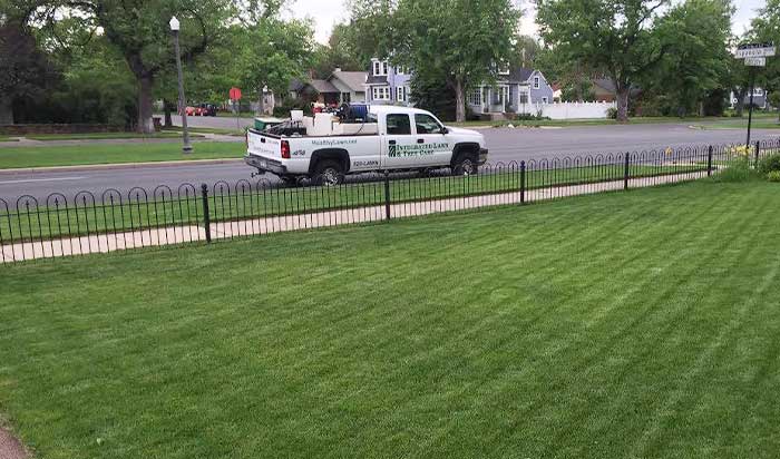 Lawn Care in Security-Widefield