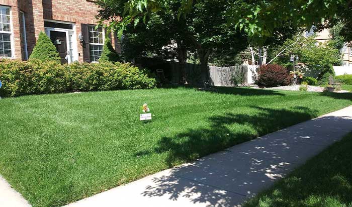 lawn care in peyton, green colorado lawn