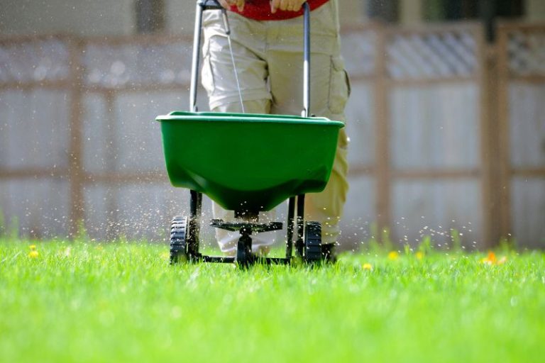organic lawn care service spreading fertilizer